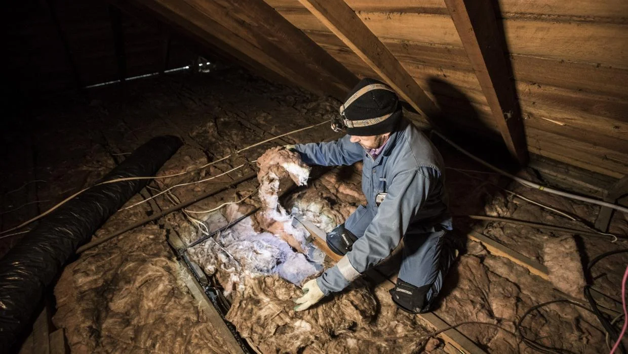 Could try harder: Healthy homes inspection pass rates are low